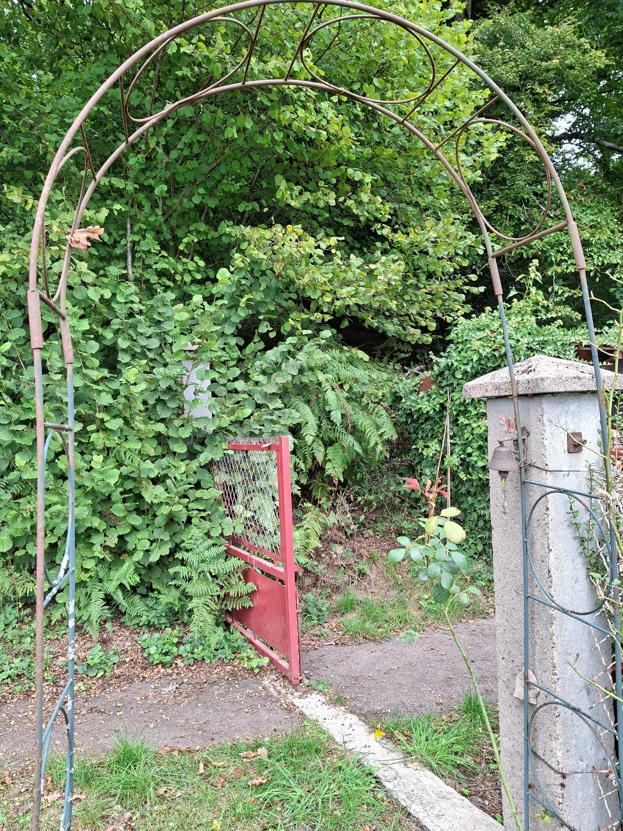Gallery image